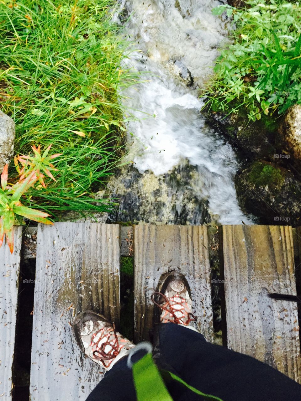 Ran into this cool bridge in my hike 🍃🌱🌼