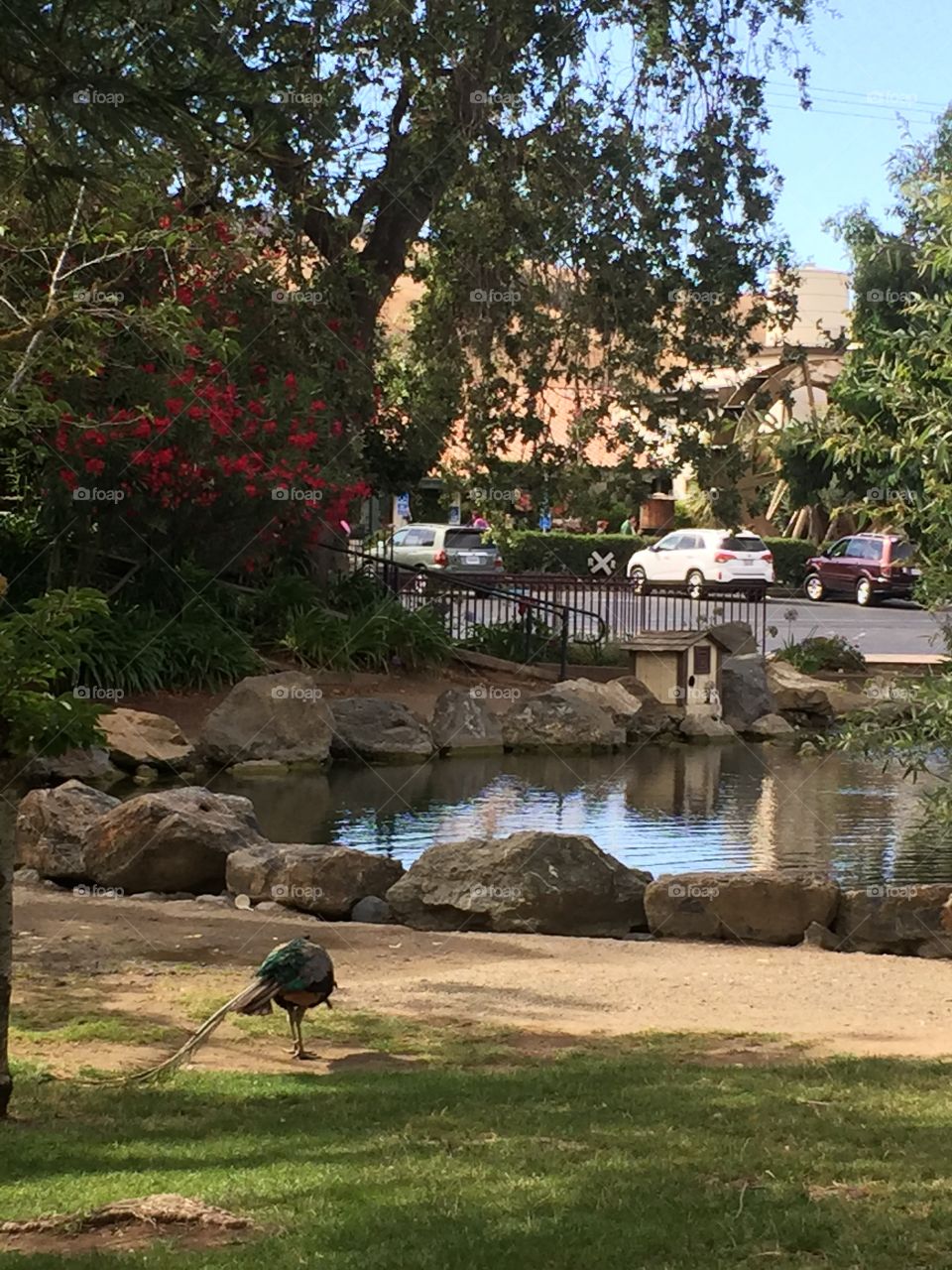 Pond. Took it while on a long trip