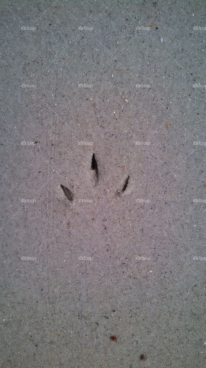 Sand, Beach, No Person, Seashore, Sea