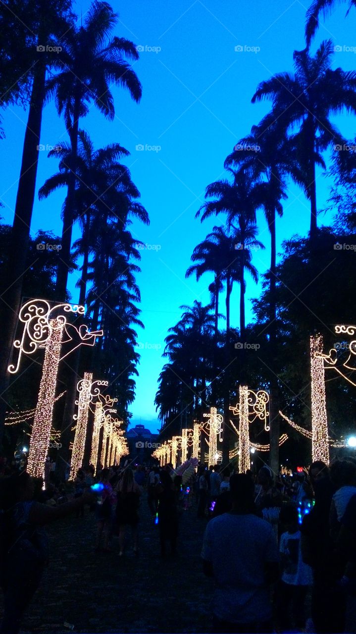 Christmas in the city