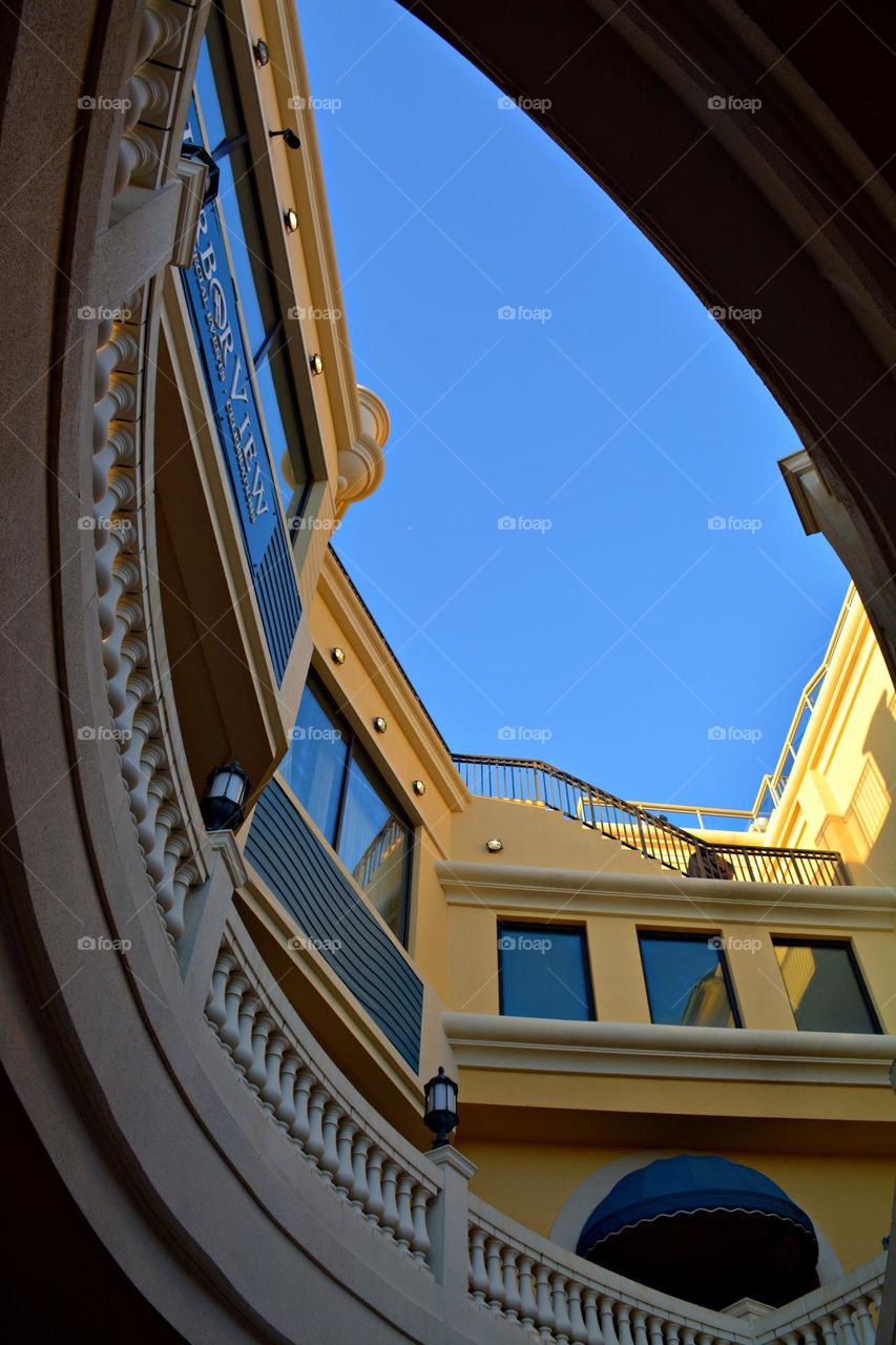 An opening to the blue sky - From the ground up - What the world looks like from a “frogs perspective”