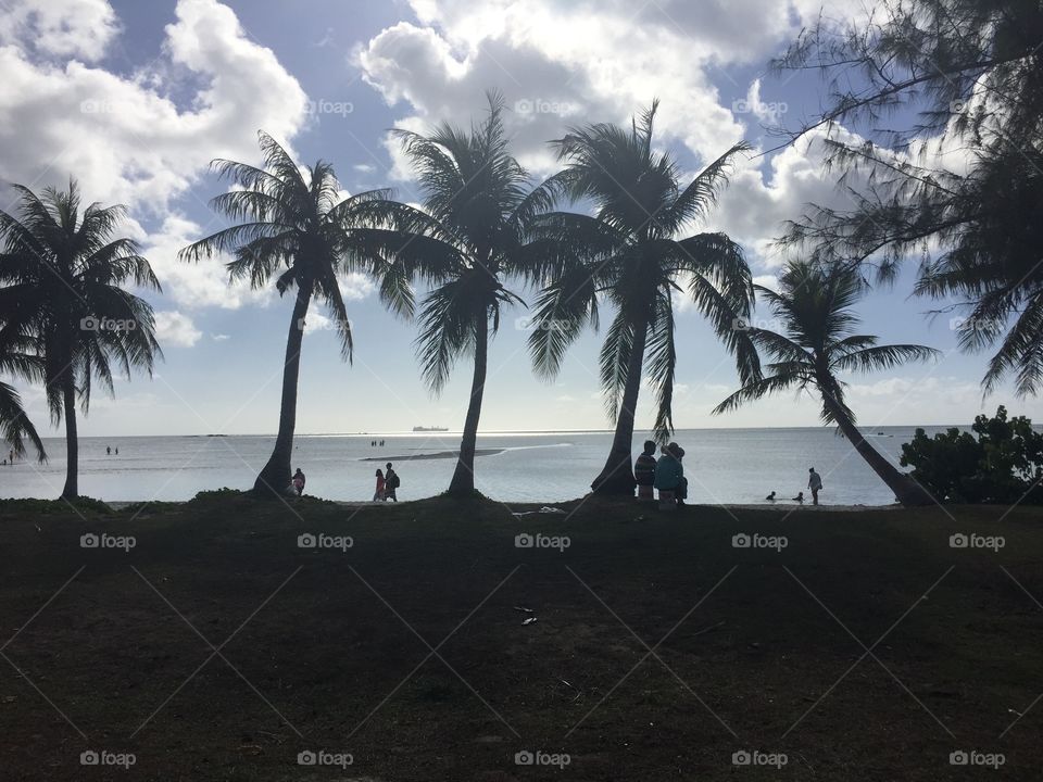 Silhouette of several palm trees next to the ocean. Near Garapan, Saipan