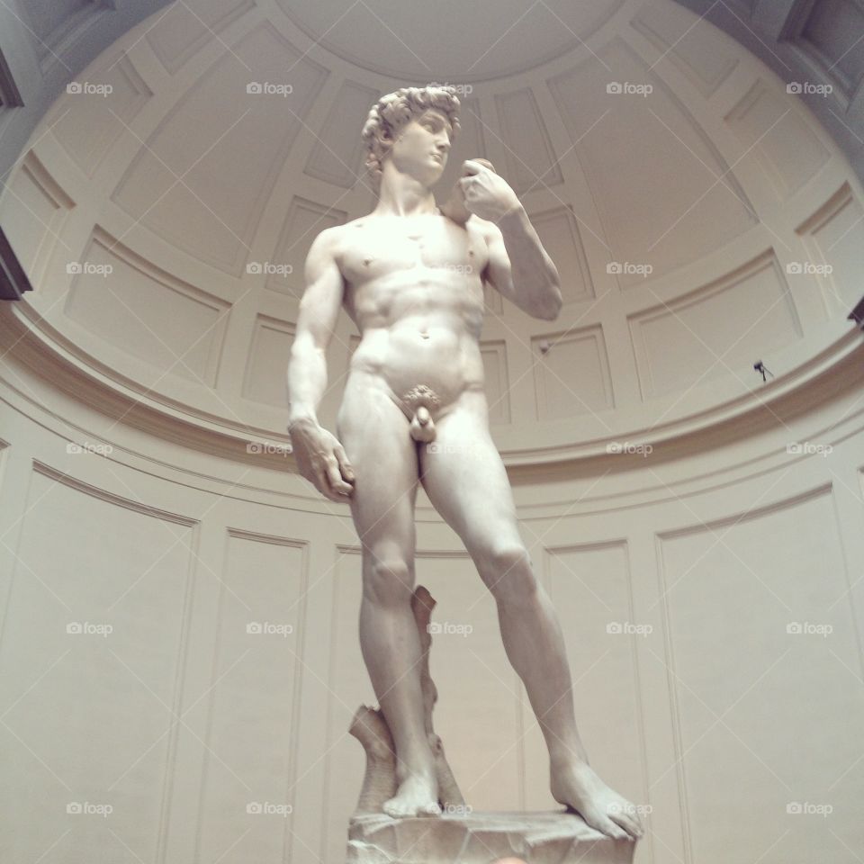 The David. Sculpture of the David in Florence 