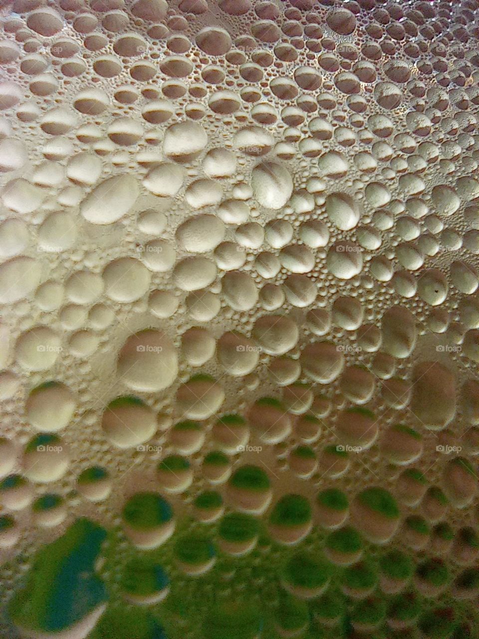 water droplets/ gotitas de agua