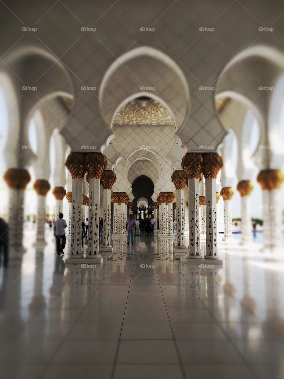 the grand mosque Abu Dhabi 