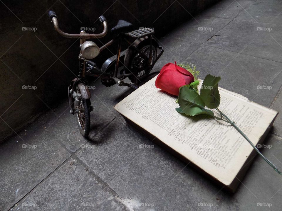 The meaning of love in a book