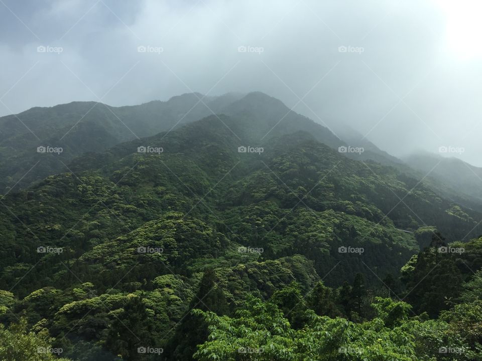 Foggy Japanese mountains