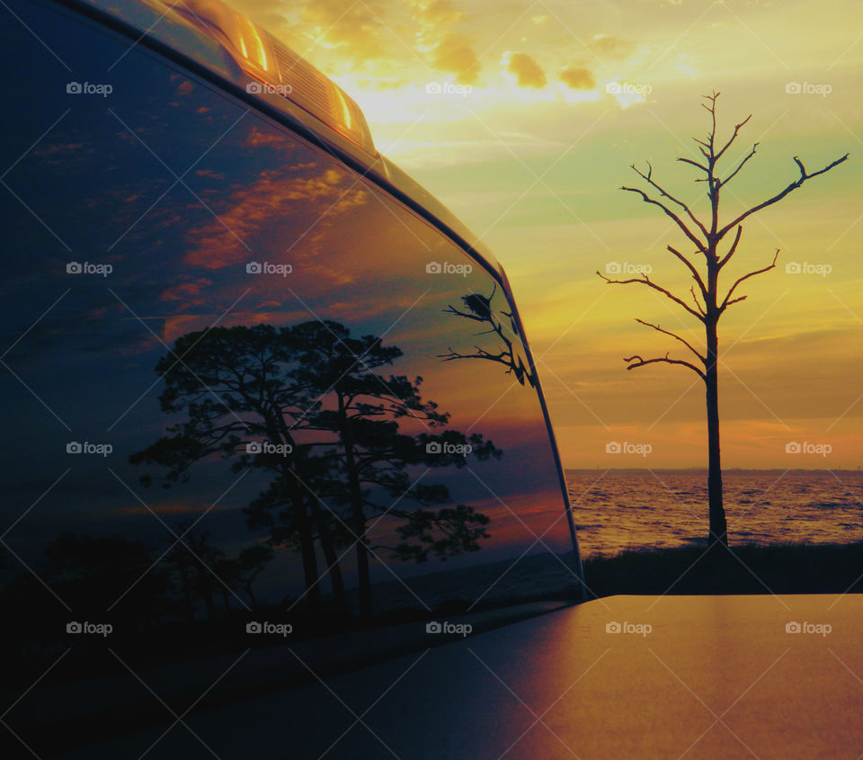 Reflection of tree on car window at sunset