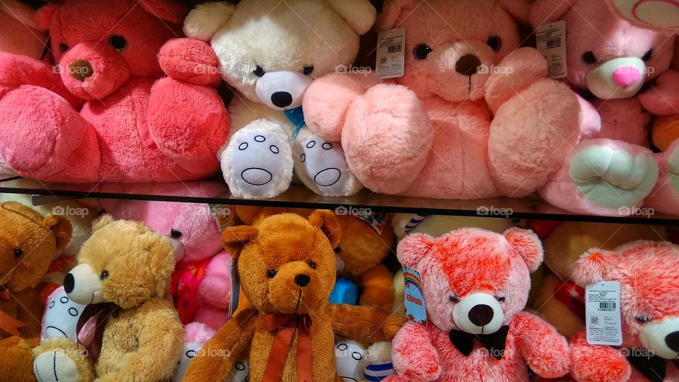 teddy bears in the store