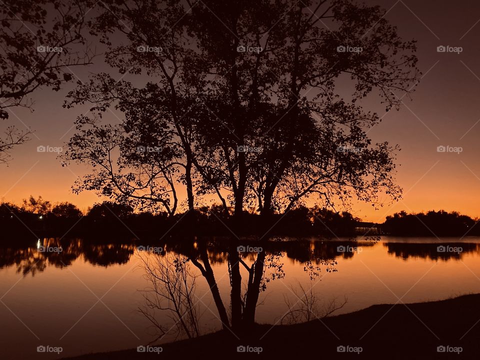WillowLake Willow casting a glow of the evening sun. Sunset just happened and the Evening is winding down. 