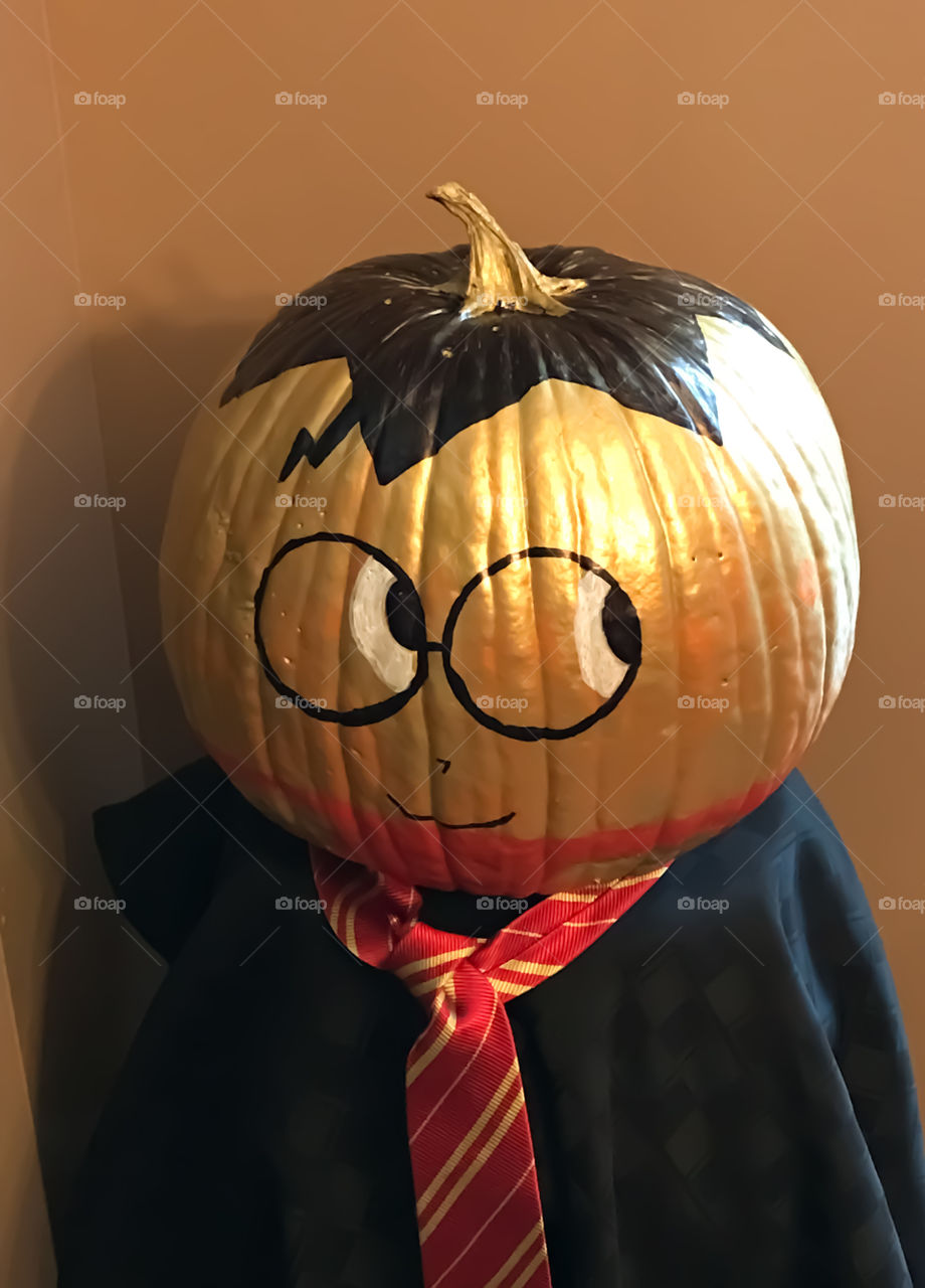 Harry Potter painted pumpkin. Halloween decor.