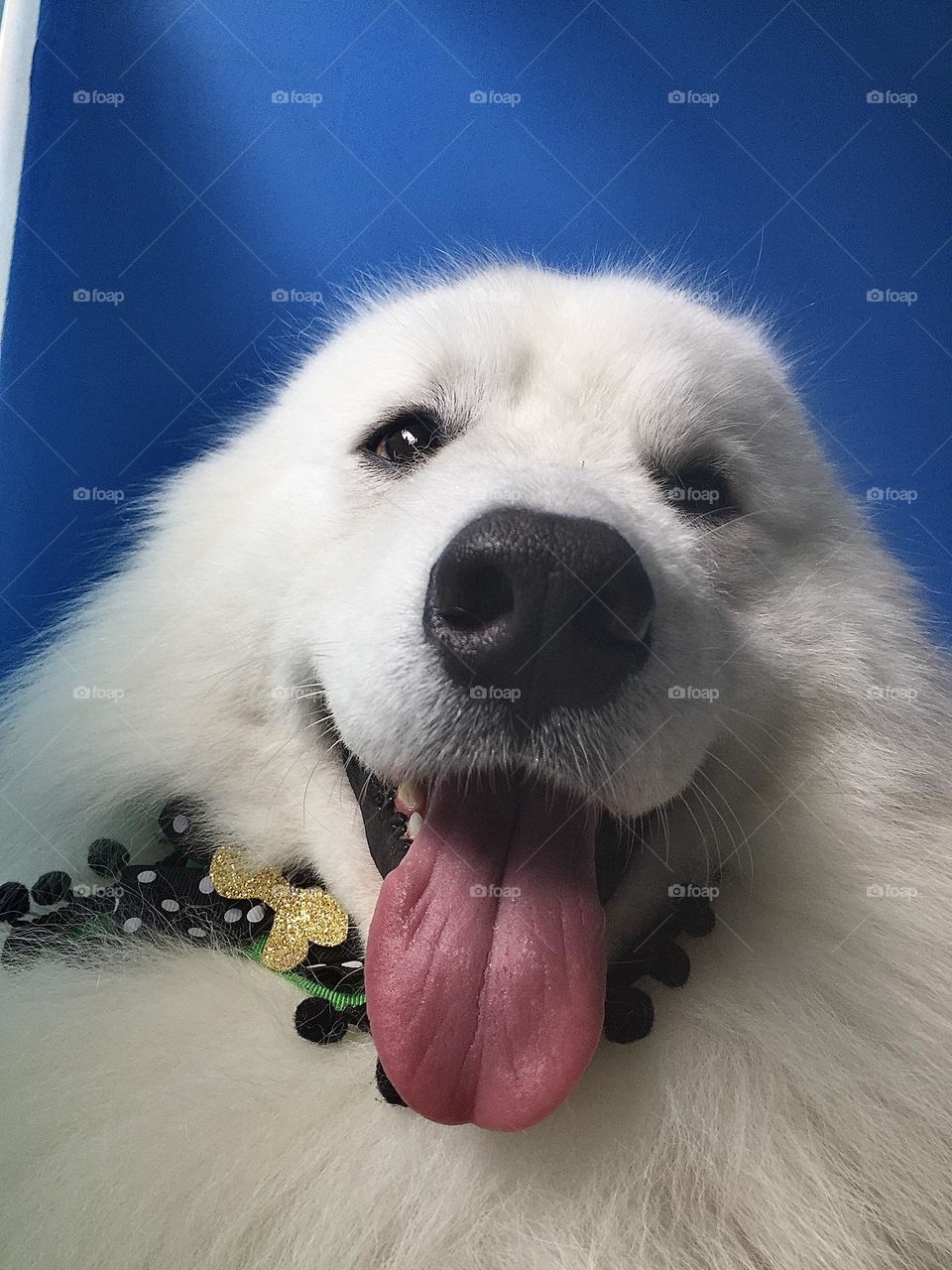 Happy 