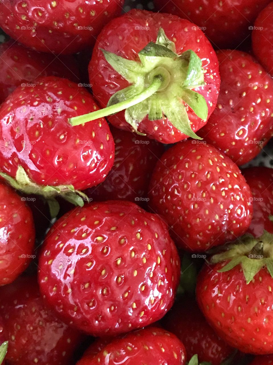 Summertime strawberries 