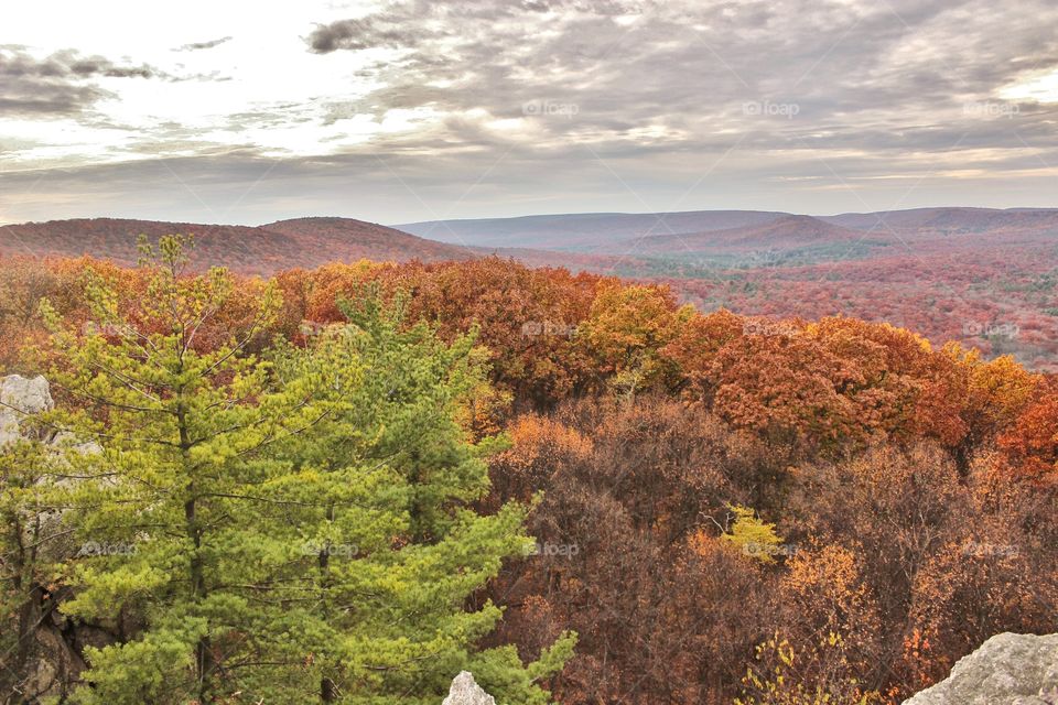 fall colors