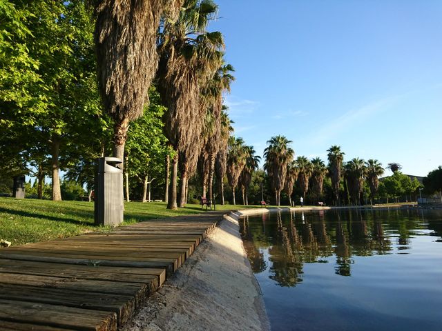 El lago 
