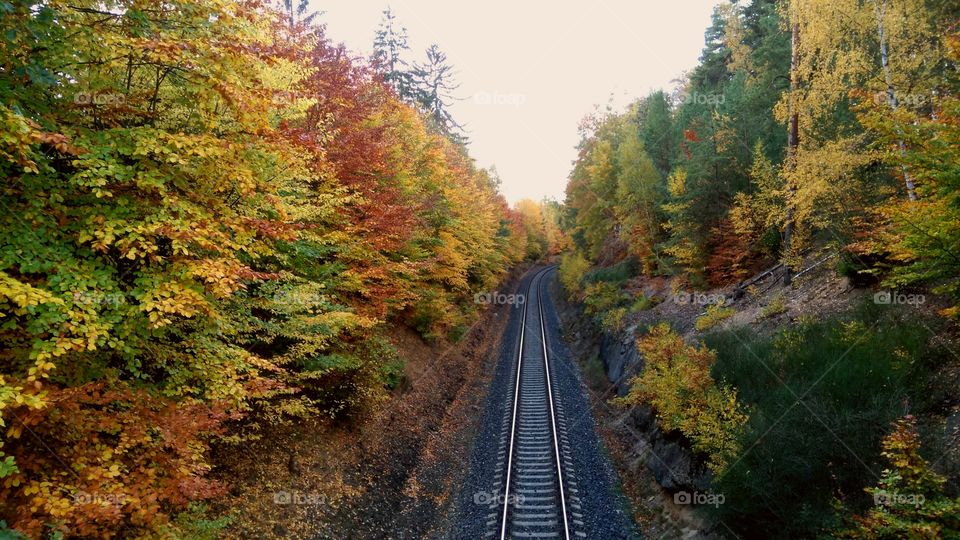 Autumn track