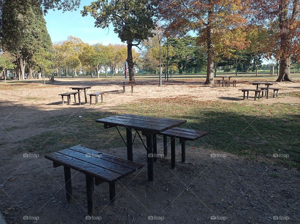 picnic grounds / area de picnic