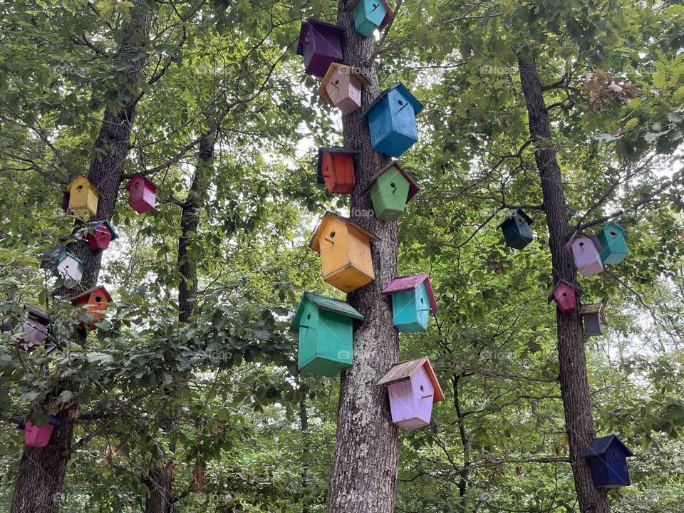 birdhouses