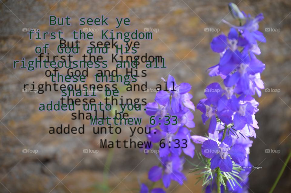 Matthew 6:33