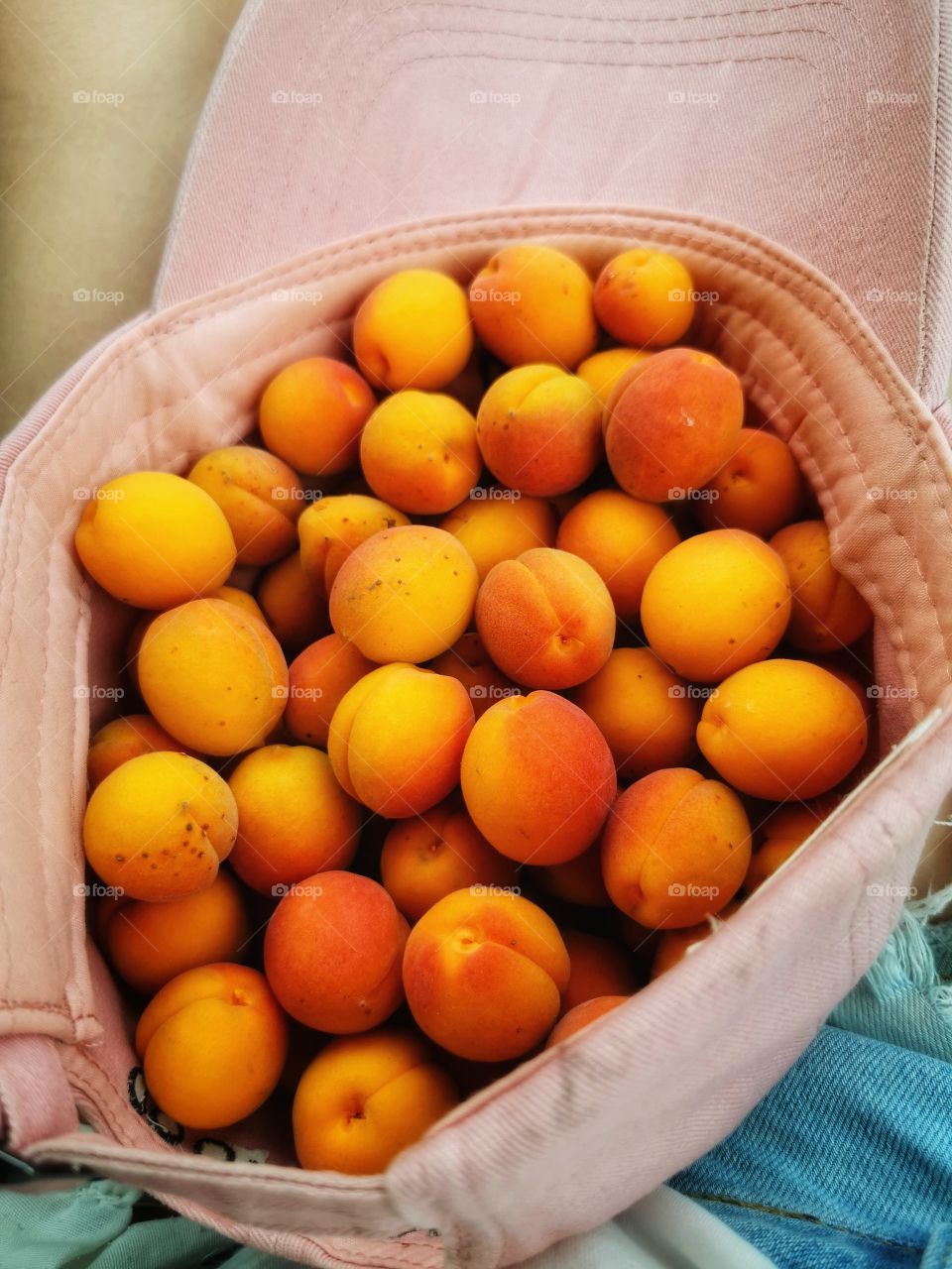 Apricot yellow honey yummy healthy Red healthy juicy view bio fresh yummy healthy