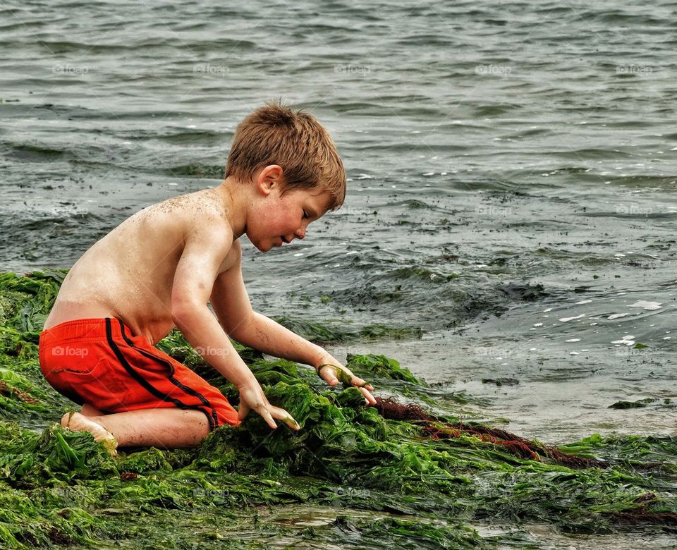 Boy Gathering Seaweed