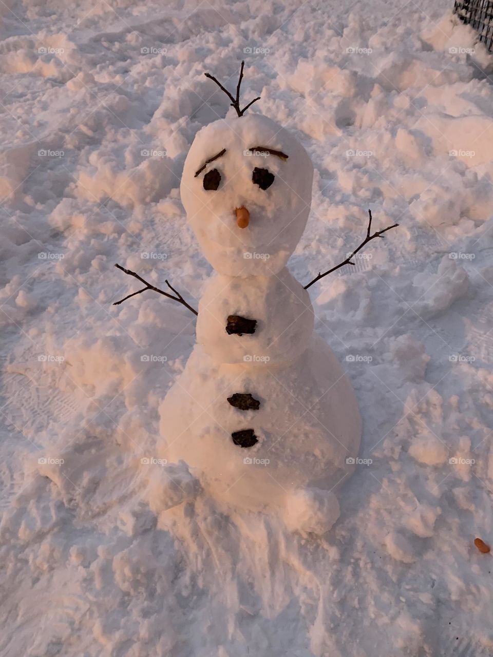 Olaf 