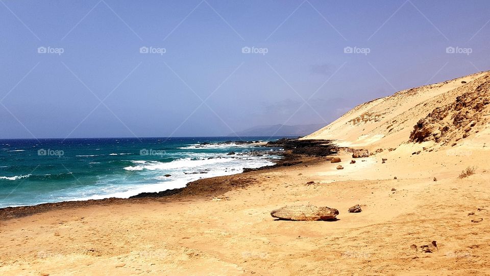 Wild Fuerteventura