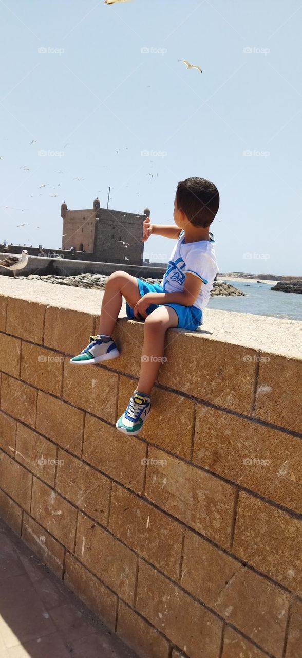 a young boy sitting on a wall looking at the seagulls at harbor at essaouira city in Morocco