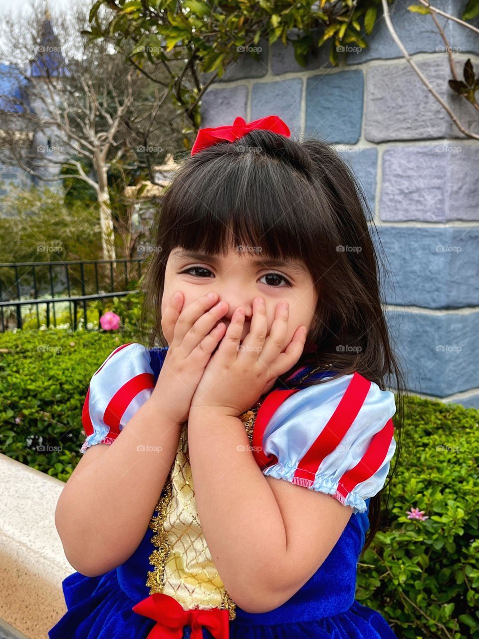 Little Girl Princess Portrait 