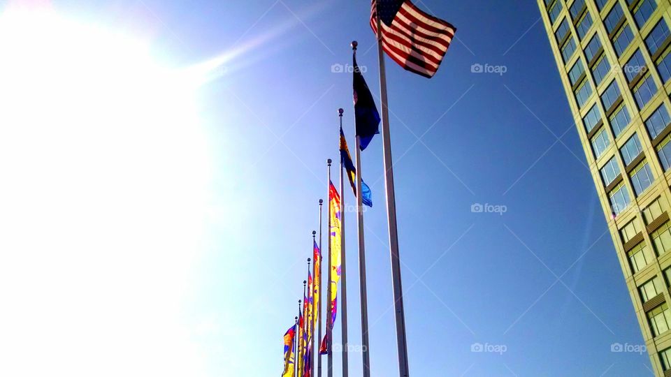 Flags in Downtown Norfolk