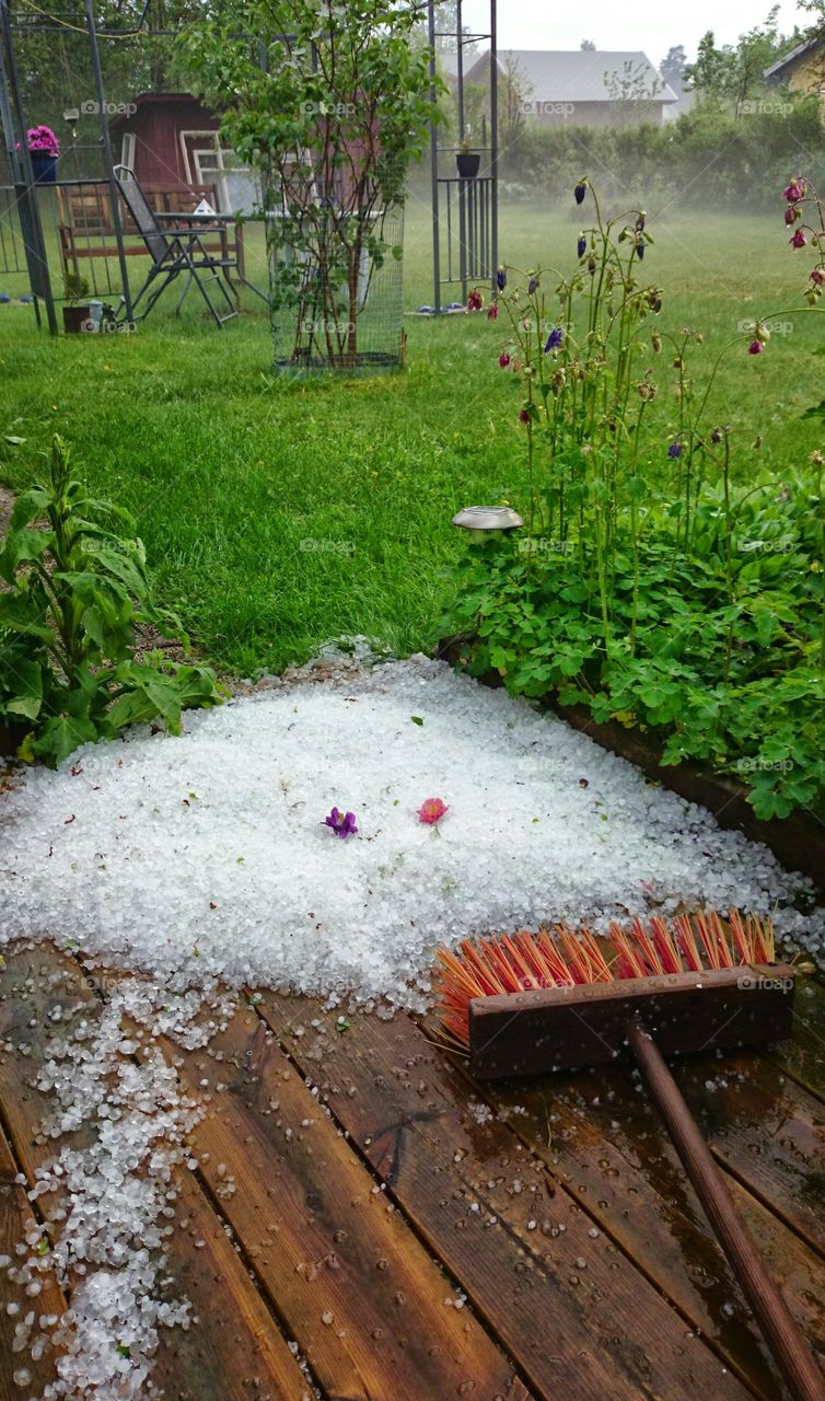 hailstorm in June. hailstorm in June 