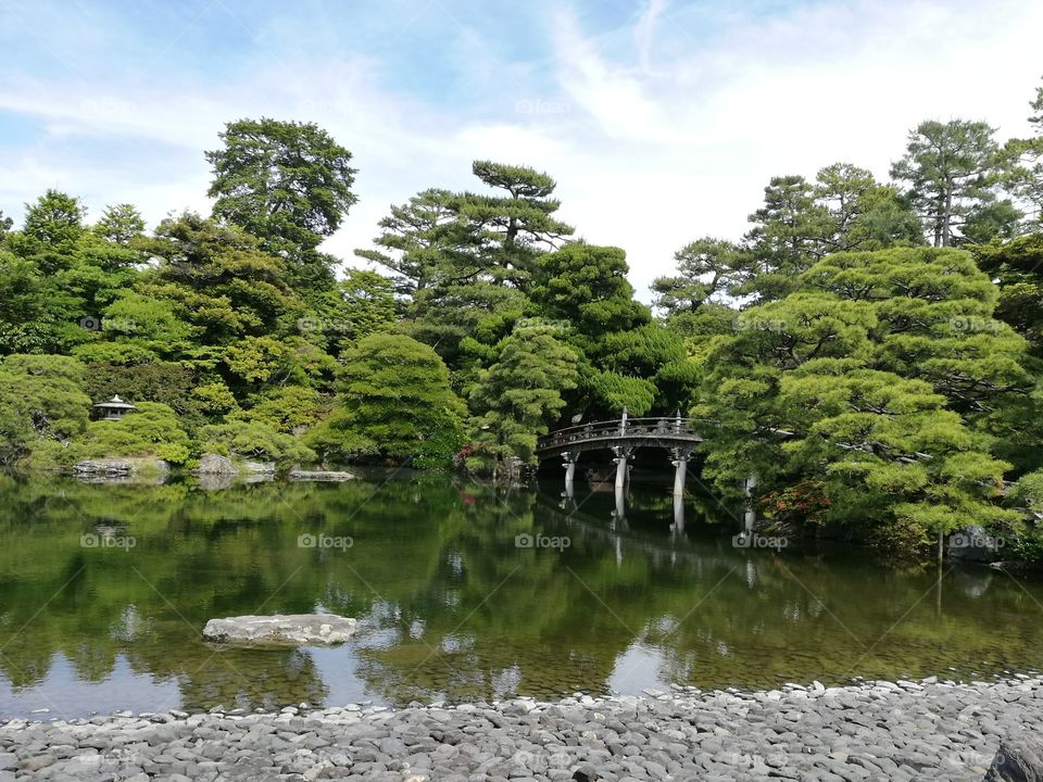 Japanese garden, bridge