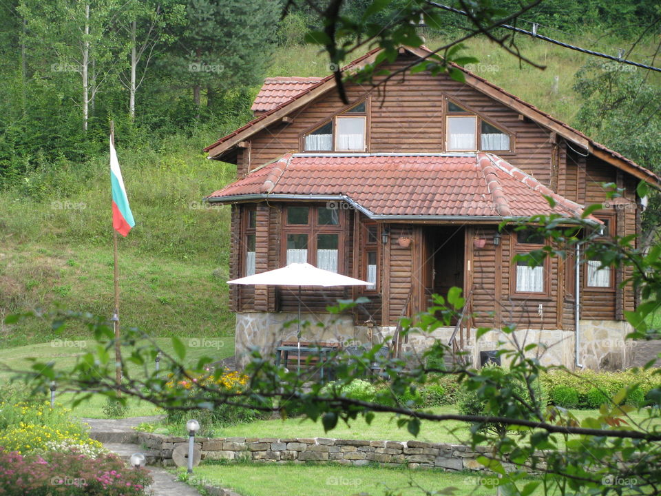 pretty house in the forest