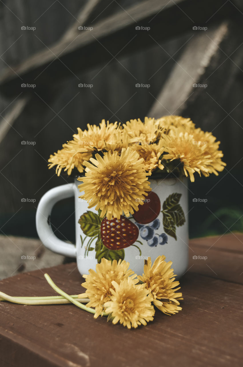 One of the symbols of the blooming spring are cheerful yellow dandelions. These flowers scatter on the grass like bright sparks of the molten sun, cover glades and lawns with a golden carpet and fill the heart with quiet, serene joy