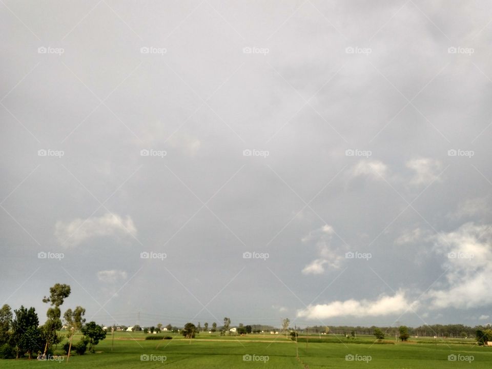 True Nature, No Filters #truephotos