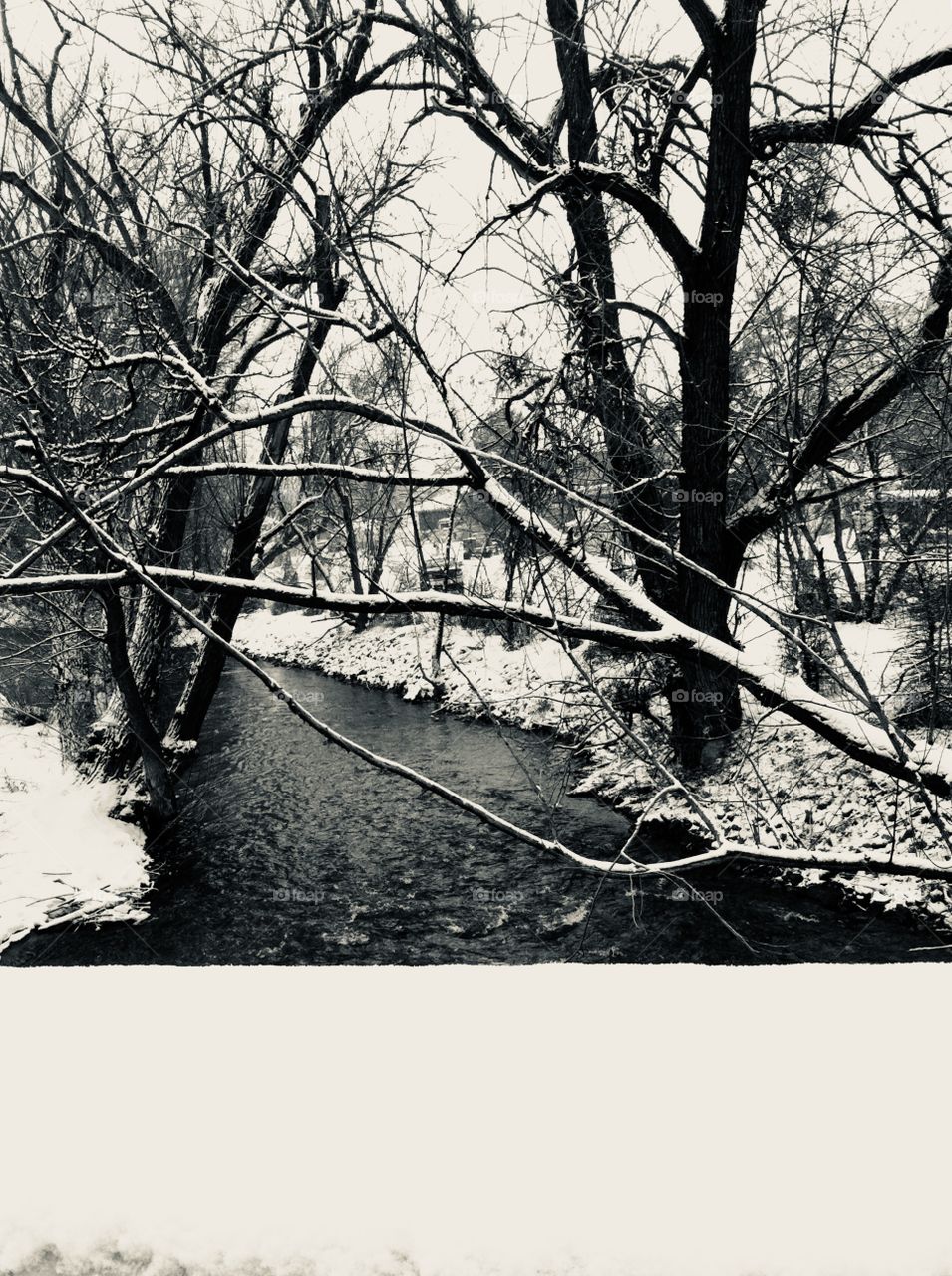 A rushing river is flowing through this scene of untouched snow. The winter can be so pretty!