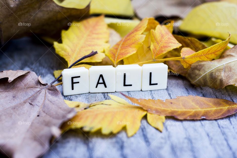 fall written