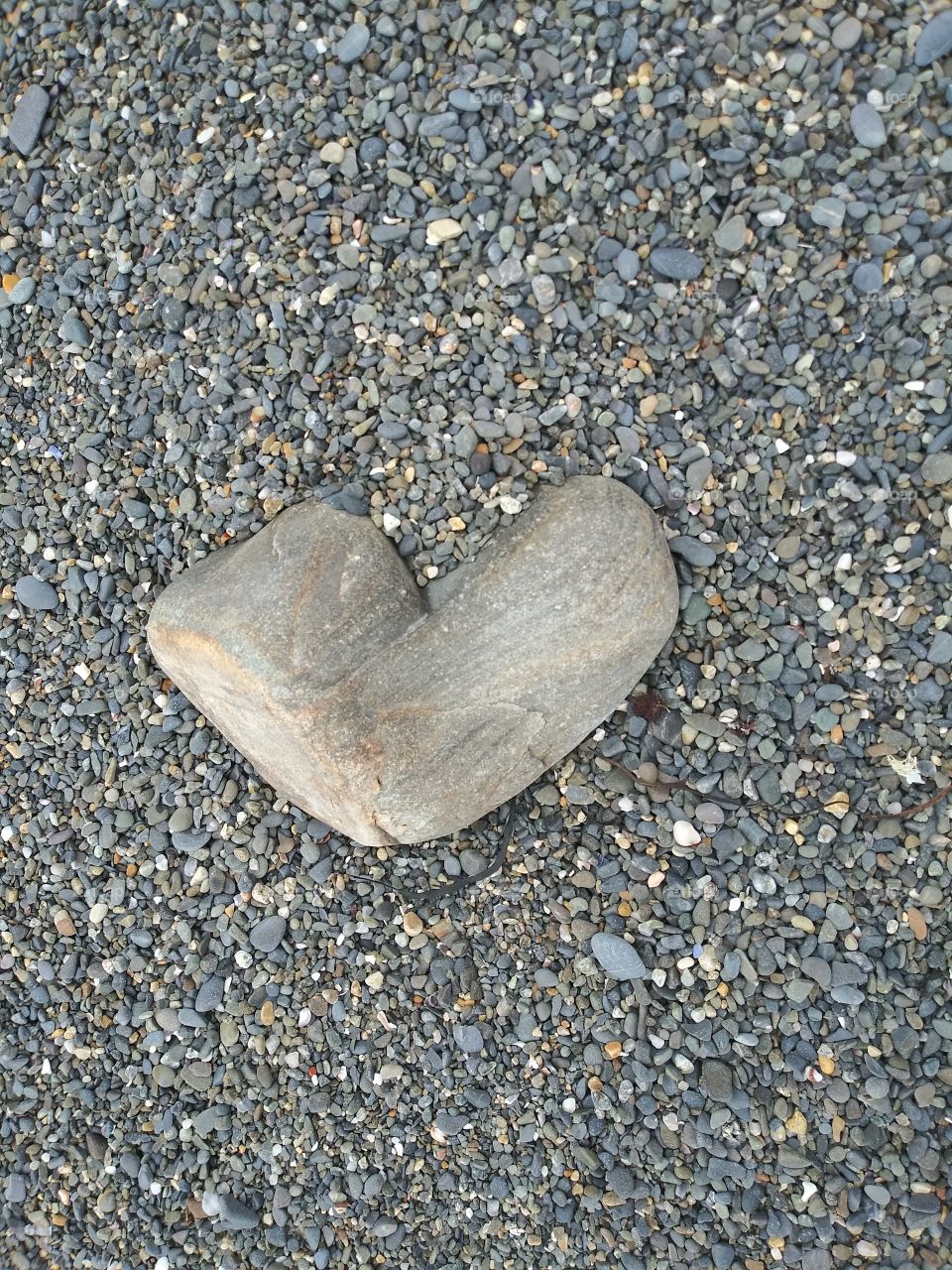 heart shaped rock