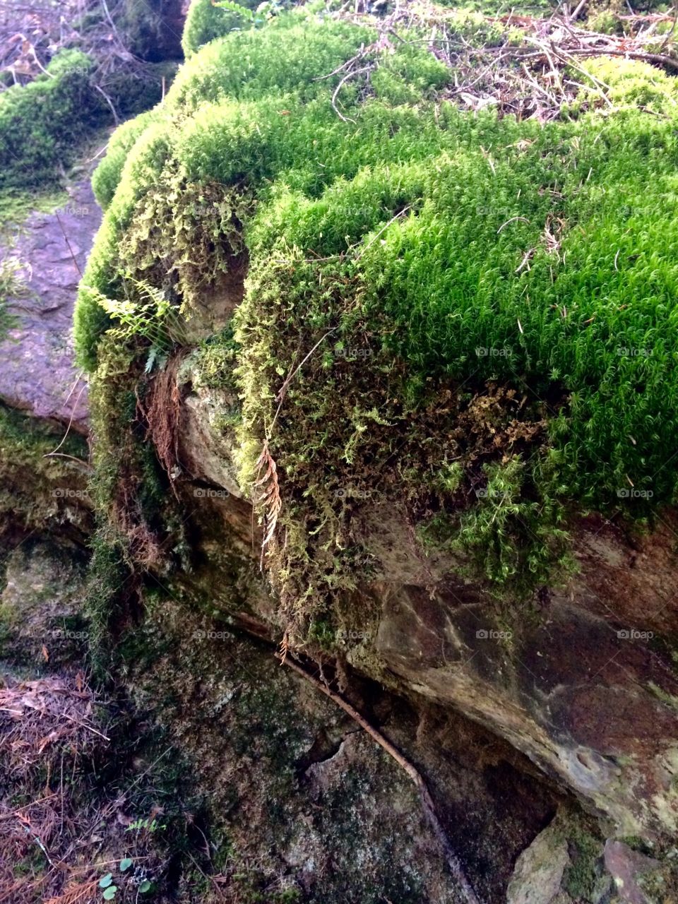 Liberty Lake Regional Park
