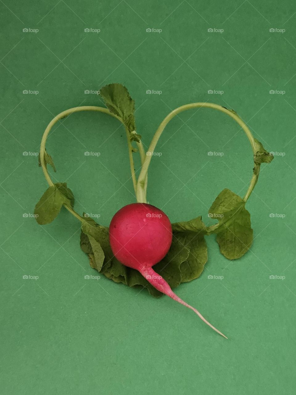 The Lovestruck Radish
