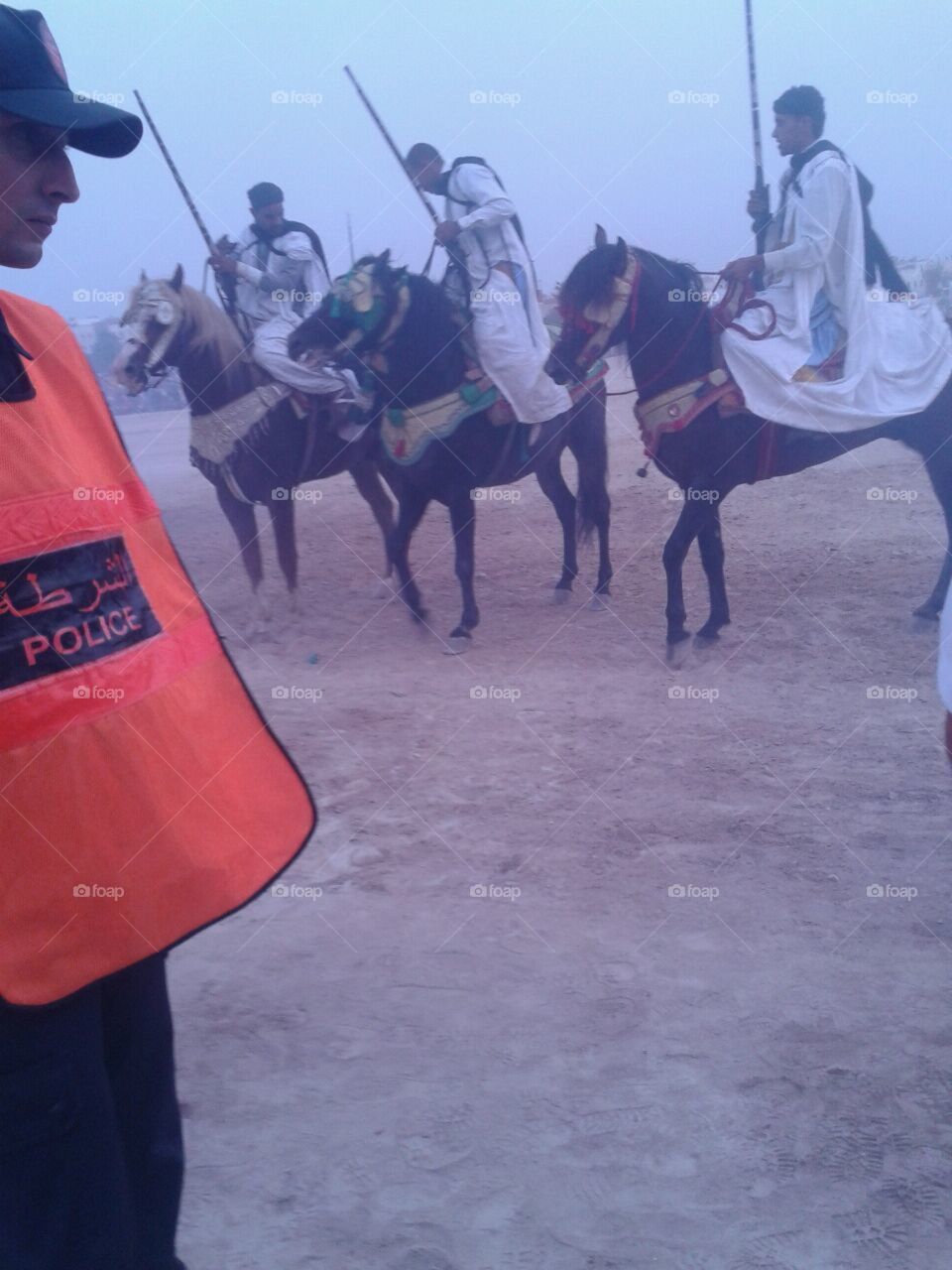 Marokko paarden 