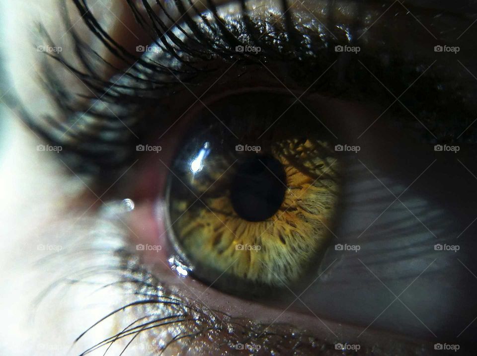 Extreme close-up of human eye