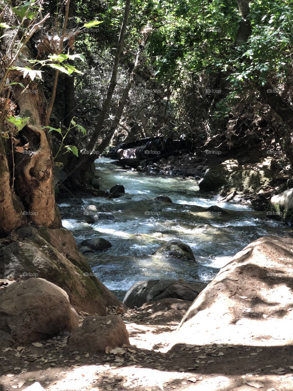 A beautiful river with frozen water in a special nature