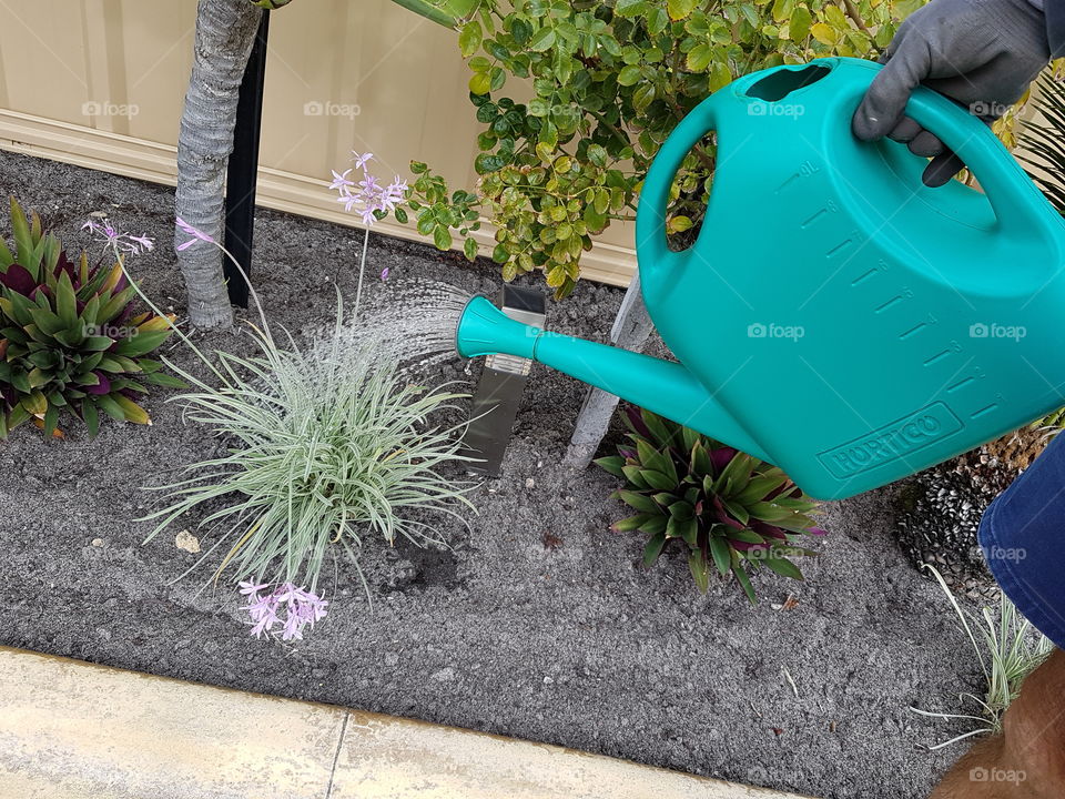 green watering can