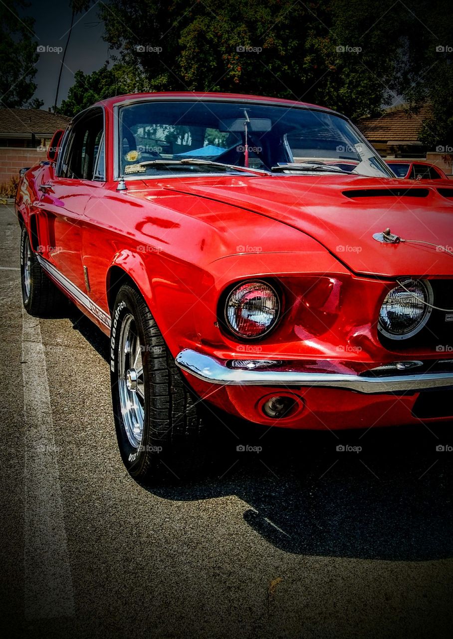 1967 Shelby GT 350