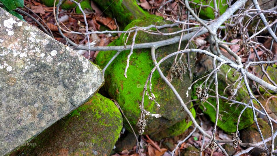 Rochas e vegetais, minérios. Pedras com cores de metais. Matas, rios, ilhas. Fenômenos da natureza. Belezas de nosso planeta.