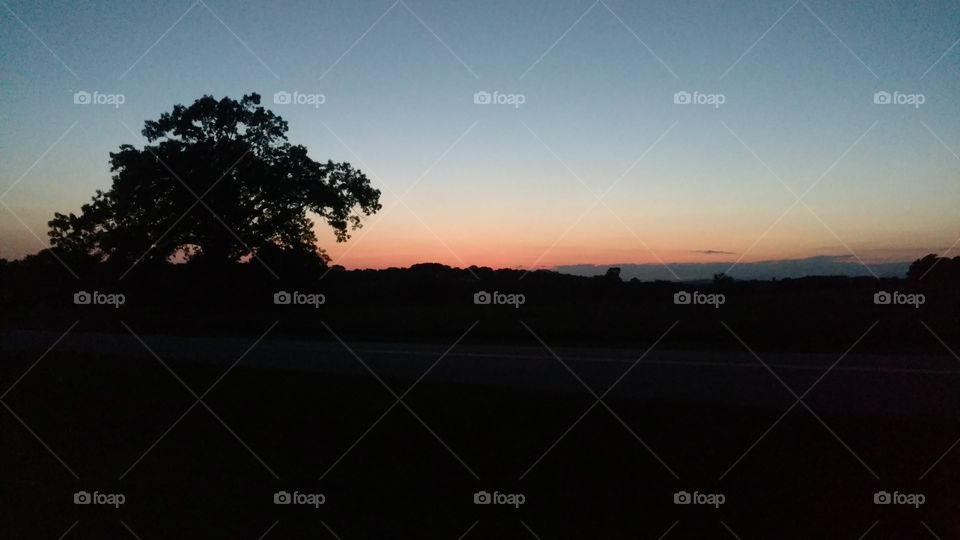 Landscape, Sunset, Tree, Dawn, Evening