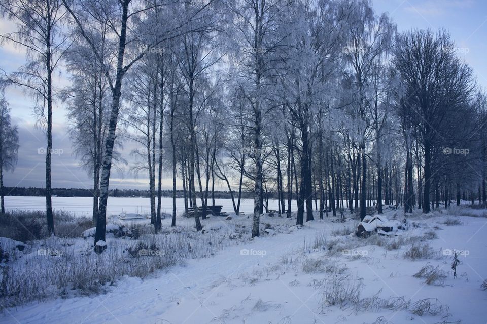 Winter view