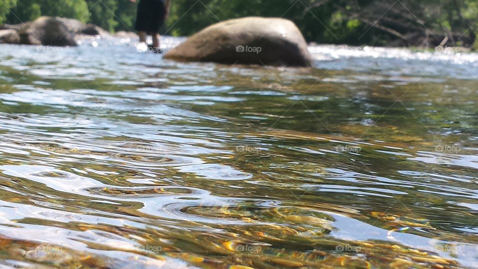water's surface . walking along the Roanoke river