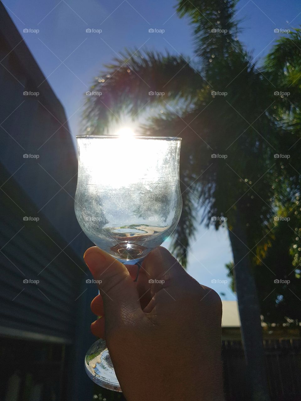 A glass of sunlight.